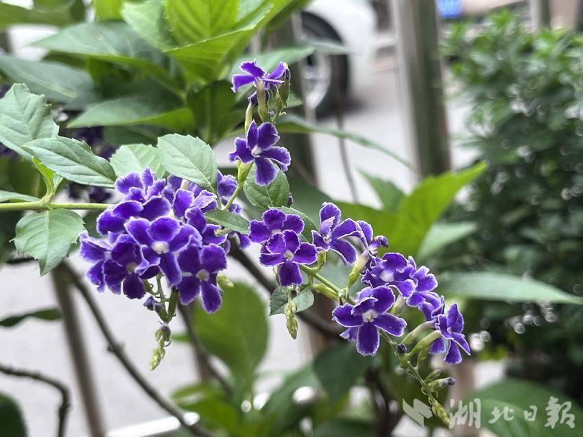 网站平台开户